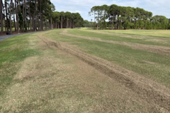 Chaff-on-the-south-practice-range-tee-from-dethatching