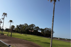 New-turf-growing-in-on-The-Palms-golf-course-10th-hole