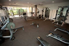 gym-800066