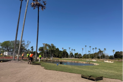 New-turf-being-laid-on-The-Palms-golf-course-10th-hole