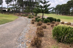 Garden-trimming-was-completed-on-the-left-side-of-The-Pines-golf-course-16th-green