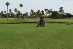 Mowing-the-greens-on-The-Palms-golf-course-at-2mm-before-topdressing