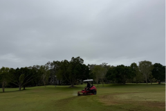 Scalping-the-tee-banks-on-The-Palms-golf-course