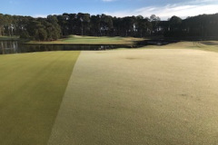 Mowed-the-6th-green-on-The-Pines-golf-course