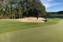 Prepared-the-bunker-on-the-8th-green-of-The-Pines-golf-course-