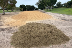 Nursery-prepared-for-stolonising-on-The-Palms-golf-course