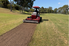 Cultivated-the-new-nursery-area-on-The-Palms-golf-course