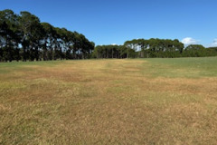 Herbicide-trial-in-front-of-the-south-practice-range-tee