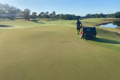 Needle-tine-aeration-was-carried-out-on-The-Palms-golf-course-greens