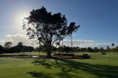 Spreading-mulch-on-The-Palms-golf-course-17th-hole