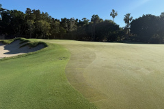 The-new-3rd-green-extension-on-The-Palms-golf-course-is-continuing-to-grow-in-