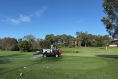 Fungicide was applied to the tees on The Palms golf course.