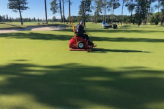 The 9th green of The Pines golf course was rolled.