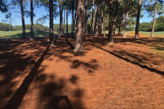 Tree line mulching was completed between the 1st and 9th holes of The Pines golf course.