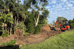 Tree stumps were removed on the 9th hole of The Palms golf course.