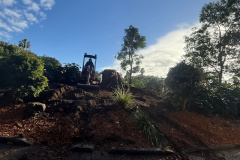 Tree stumps were removed on the 9th hole of The Palms golf course.