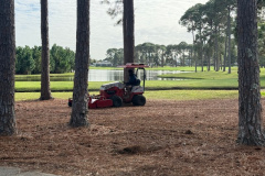 Ventrac mulching was performed on the forest floors of The Pines golf course.
