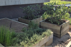Detail-and-clean-up-work-was-performed-on-The-Pines-golf-course-Clubhouse-vegetable-garden-2