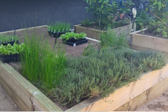 Detail-and-clean-up-work-was-performed-on-The-Pines-golf-course-Clubhouse-vegetable-garden-3