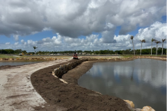 Cart-path-edge-works-on-the-land-bridge-on-the-10th-hole-on-The-Palms-golf-course