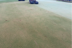 Result-after-verti‑cutting-and-before-the-clean‑up-mow