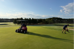 A-double-clean-up-mow-following-verticutting-on-the-renovated-greens-at-The-Palms-golf-course