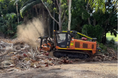 Forest-mulcher-in-operation-on-the-15th-hole-at-The-Palms-golf-course-