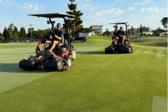Verticutting-the-renovated-greens-on-The-Palms-golf-course-