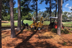 Chipping-debris-on-The-Pines