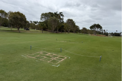 Turf-replacement-complete-with-sand-worked-into-the-turf-joins-on-The-Palms-golf-course