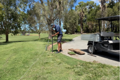 Re‑turfing-the-cart‑path-edges-on-The-Palms-golf-course