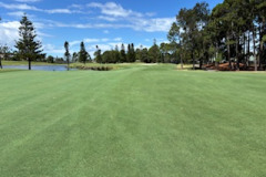 The-12th-fairway-on-The-Pines-golf-course-after-foliar-fertiliser-application-and-mowing
