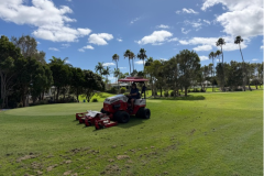 Ventrac-mowing-the-tee-banks-on-The-Palms-golf-course