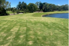 New-16th-and-17th-tees-mowed-to-20mm-on-The-Palms-golf-course-