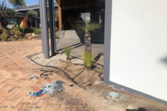 Installed-plants-and-irrigation-in-the-Clubhouse-entrance-garden