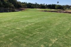 Mowed-The-Palms-golf-course-3rd-hole-tee-at-16mm-