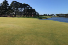 The-Pines-golf-course-18th-green-following-Wednesdays-mow-and-roll