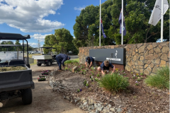 Planting-winter-annuals-in-the-entrance-flagpole-garden-on-The-Pines-golf-course
