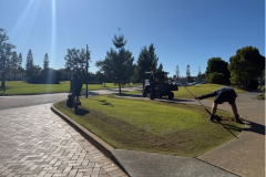 Renovating-the-entrance-lawns-on-The-Pines-golf-course-1