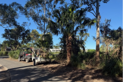 Undertaking-garden-clean-up-between-the-13th-and-14th-holes-on-The-Palms-golf-course