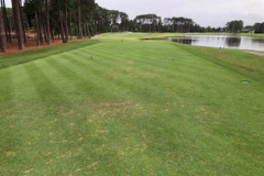 Walk-mowing-being-completed-on-the-9th-tees-of-The-Pines-golf-course