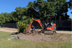 Transplanting-palms-on-the-3rd-hole-of-The-Palms-golf-course