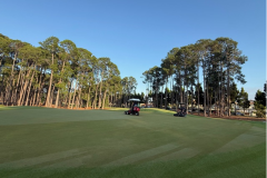Double-cutting-The-Pines-golf-course-greens-with-groomers-2nd-green-shown
