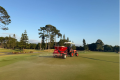 Light-top-dressing-dusting-on-The-Pines-golf-course-greens-putting-green-shown
