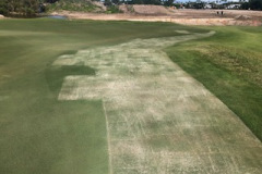 The-extended-area-on-The-Palms-golf-course-3rd-green-was-top-dressed
