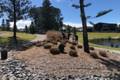 The-garden-at-The-Pines-golf-course-13th-green-was-trimmed