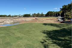 Laid-new-turf-on-the-3rd-fairway-of-The-Palms-golf-course-2
