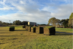 Turf-delivered-for-the-new-3rd-tee-at-The-Palms-golf-course