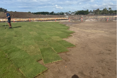 Turfing-being-carried-out-on-the-3rd-hole-of-The-Palms-golf-course-2