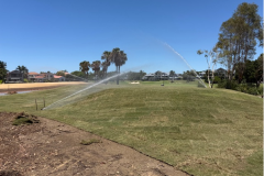 New-turf-being-laid-on-The-Palms-golf-course-17th-tee